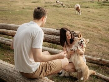 Studia la Certificazione Esperto in Etologia Animale