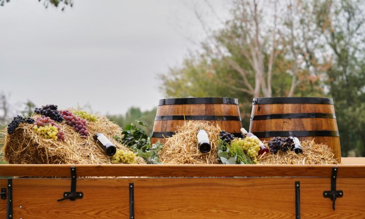 Dove imparare a fare il vino (e godersi il processo come un vero sommelier)