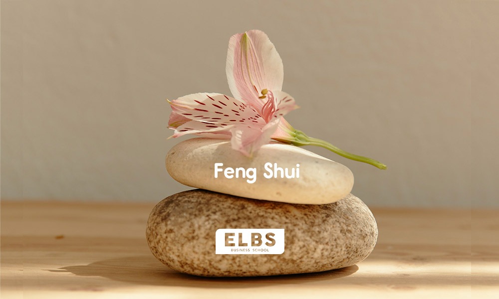 Feng shui: armonia a casa