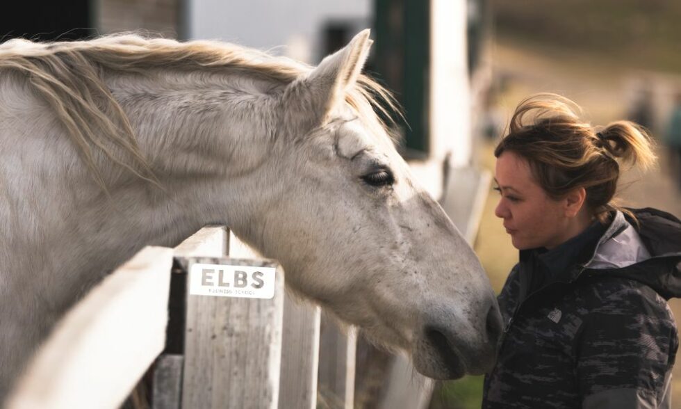 Ippoterapia Cos E Come Funziona La TMC Scuola ELBS Ippoterapia Cos E Come Funziona La TMC Scuola ELBS