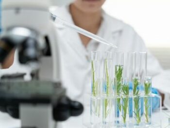 Studiare in biologia molecolares e citogenetica