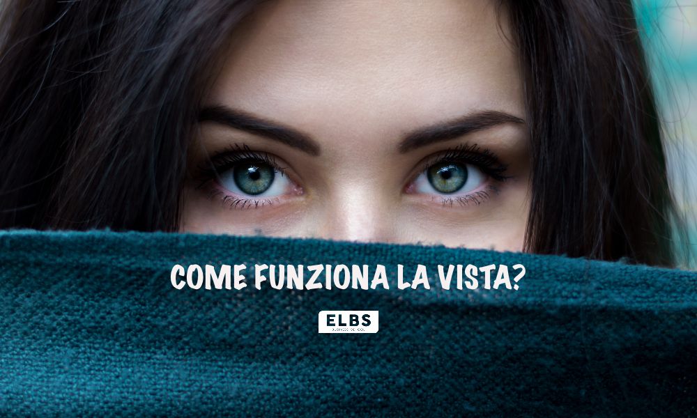 Vista Come Funziona L occhio Umano Scuola ELBS Vista Come Funziona L occhio Umano Scuola ELBS
